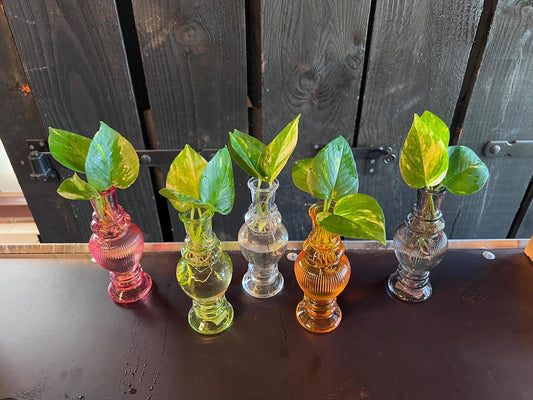 Mix In Venice Glas - Ø7cm - ↕20cm 