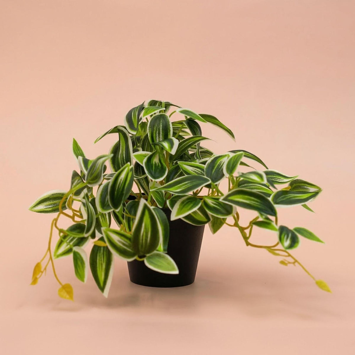 Tradescantia Grün/Weiß im Topf - 19 cm - Kunstpflanze 