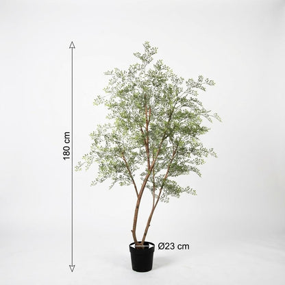 Cassia Baum Kunstpflanze 180cm – Große Deko Kunstpflanze – Pflegefreie Zimmerpflanze für Wohnzimmer Büro & Empfangsbereich - Oasis of Life