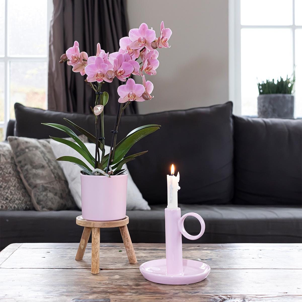 Kolibri Home | Simplicity pot - Roze - 9cm 