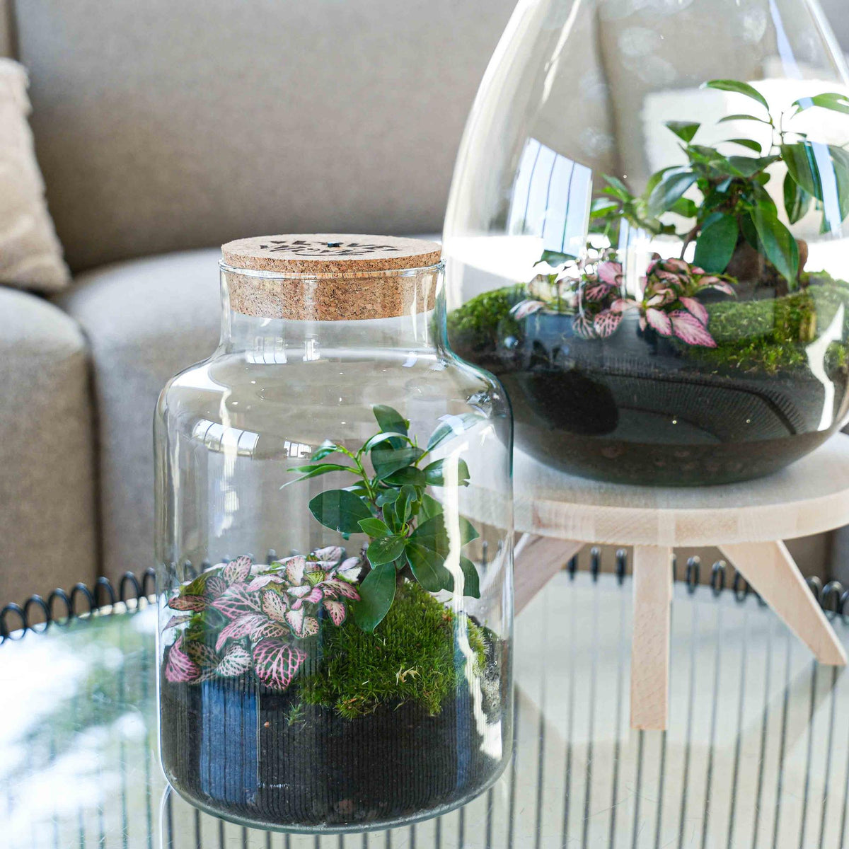 'LOVE MOM' Terrarium Little Milky + gravierter Kork mit Licht - Flaschengarten DIY Set - Ø 17 cm ↑ 25 cm - Muttertag 