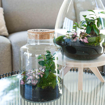 'LOVE MOM' Terrarium Little Milky + gravierter Kork mit Licht - Flaschengarten DIY Set - Ø 17 cm ↑ 25 cm - Muttertag 