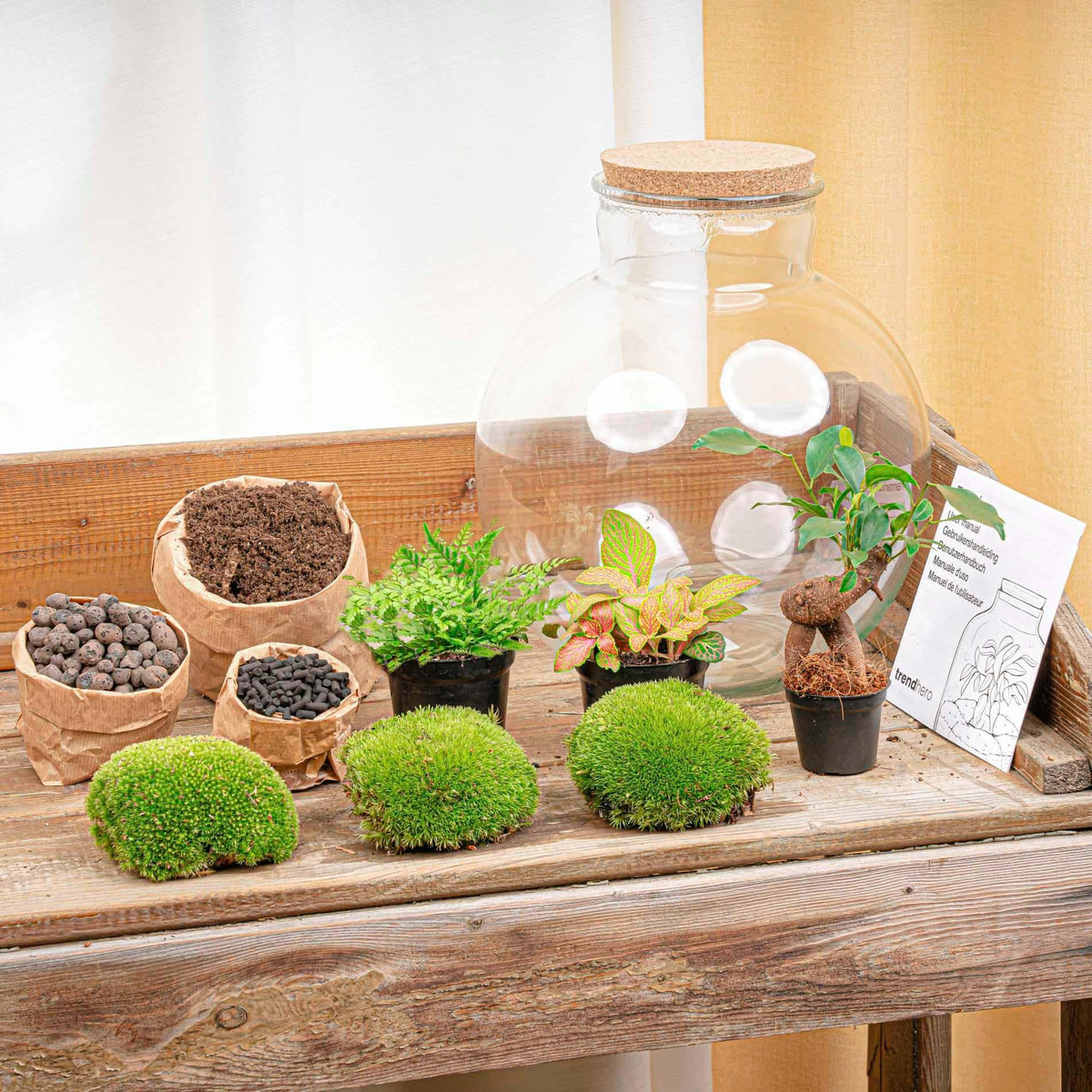 Flaschengarten Terrarium Bolder Bob Bonsai – DIY Bausatz + LED – Mini-Dschungel für Zuhause & Büro – Selbstgestalten & Nachhaltig 