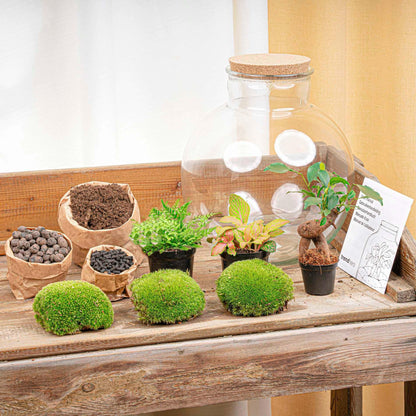 Flaschengarten Terrarium Bolder Bob Bonsai – DIY Bausatz + LED – Mini-Dschungel für Zuhause & Büro – Selbstgestalten & Nachhaltig 