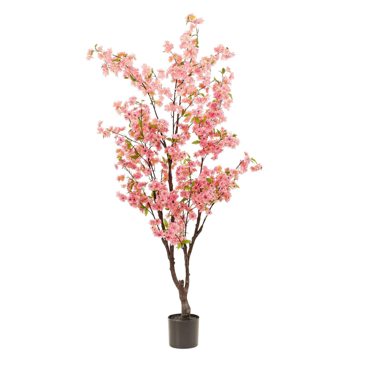 Kunstpflanze Kirschblüte Prunus – Rosa – 175cm – Täuschend echte Kunst-Kirschblüte – Deko-Pflanze für Wohnzimmer, Büro & Eingangsbereich – Ganzjährig blühend 