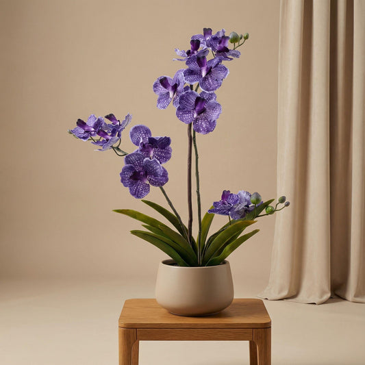 Orchidee Vanda Kunstpflanze – ca.60cm – Violett – Künstliche Orchidee im Topf – Pflegefreie Dekopflanze für Wohnzimmer Büro & Empfang - Oasis of Life
