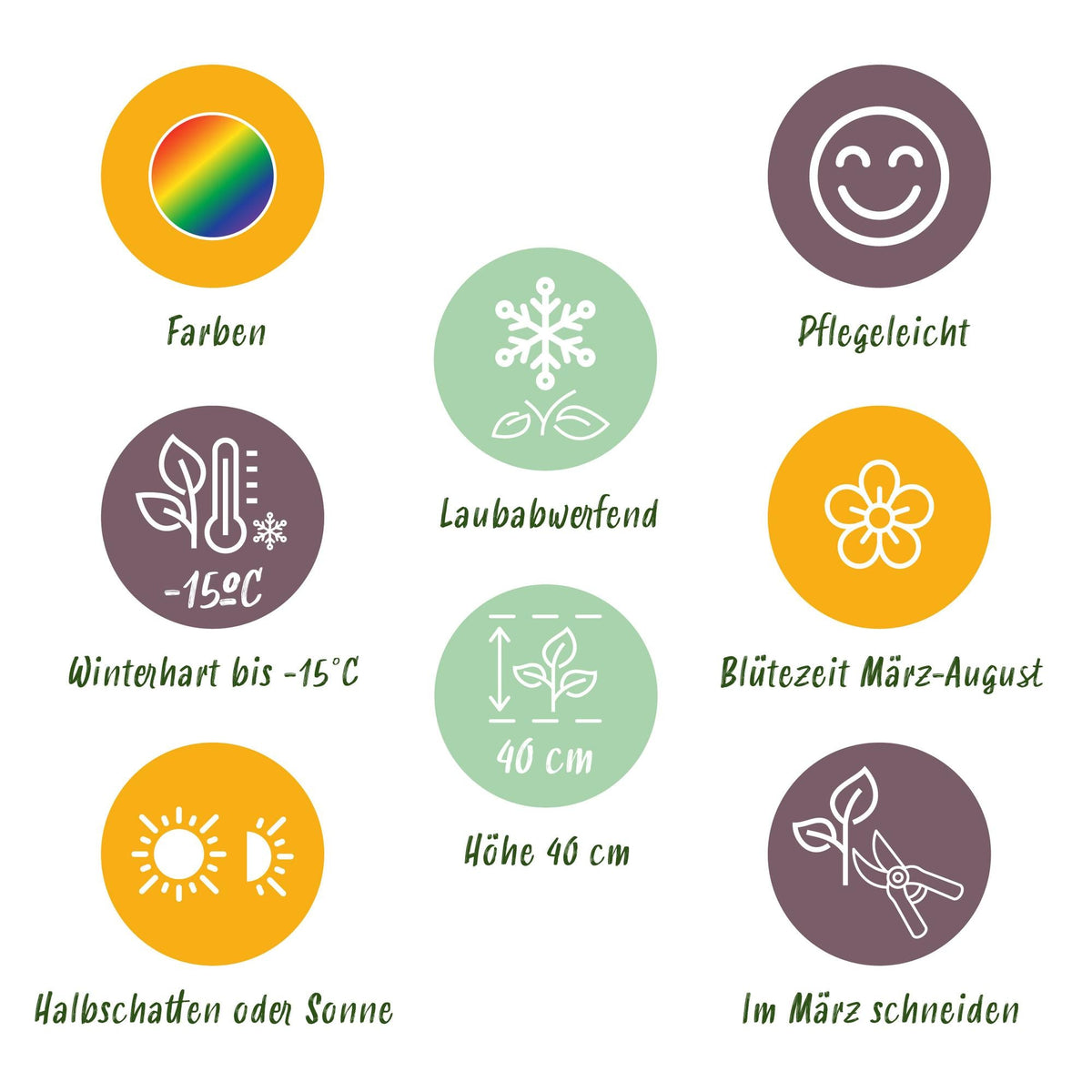 Staudenpaket – Bodendecker – 6 Stauden für 1 m² – Farbige Blühstauden – Pflegeleicht – Unkrauthemmend – Für sonnige Standorte – Topf Ø11 cm