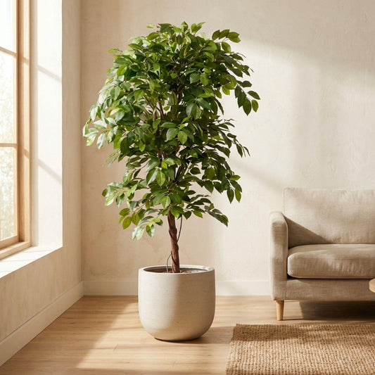 Ficus Deluxe Vine Kunstbaum – 140cm – Realistische Kunstpflanze für Innenräume – Pflegefreier künstlicher Baum mit dichtem Blattwerk – Ideal für Wohnzimmer & Büro - Oasis of Life