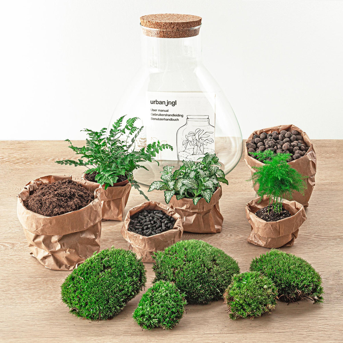 Flaschengarten Sam XL – DIY Bausatz Terrarium – ↕35cm – Do-It-Yourself Pflanzen-Set mit Korkdeckel – Autarkes Mini-Ökosystem – Inkl. Fittonia, Farn, Spargel & Moos – Für Zuhause & Büro 