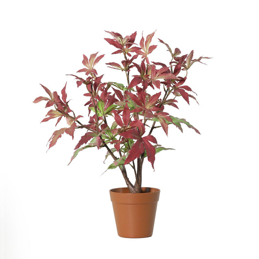 ARTIFICIAL Maple - 53cm 