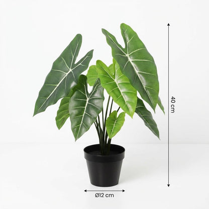 Alocasia Polly Kunstpflanze 40cm – Dekorative Elefantenohr Deko Pflanze – Pflegefreie Zimmerpflanze für Wohnzimmer Büro & Fensterbank - Oasis of Life