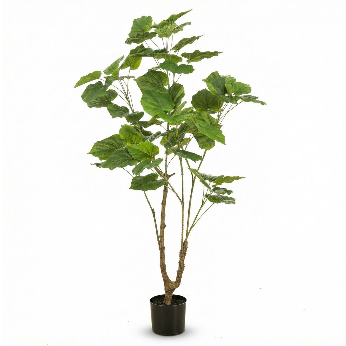 Ficus Schirmbaum Kunstpflanze 125cm – Große künstliche Zimmerpflanze mit Stamm – Realistische Deko Pflanze für Wohnzimmer Büro & Restaurant - Oasis of Life