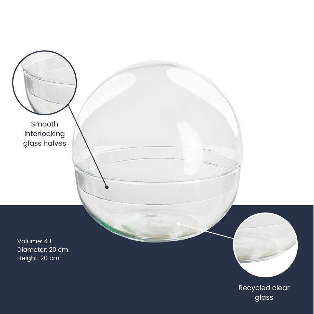 Terrarium-Glaskuppel „Dome“ – zweiteilig – Ø20cm ↕20cm – Runde Glasflasche aus Recyclingglas – Ideal für DIY-Pflanzenterrarien & Mini-Ökosysteme – ca. 4 Liter Volumen 