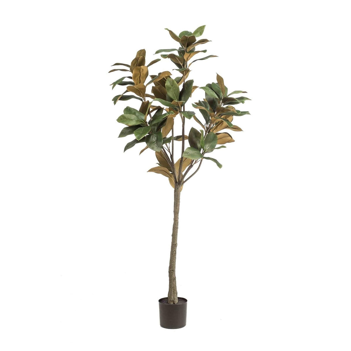 Magnolia Denudata – 150 cm Kunstbaum – Künstliche Magnolie Weiß – Pflegeleichte Deko für Zuhause & Büro 