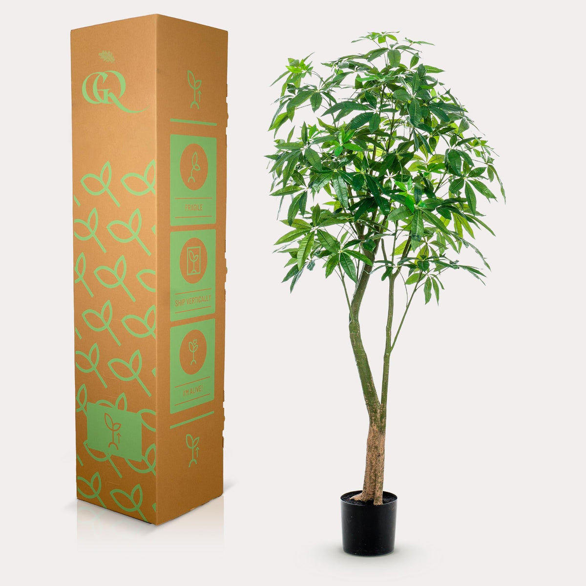 Kunstpflanze - Pachira Aquatica - Glückskastanie - 180 cm 