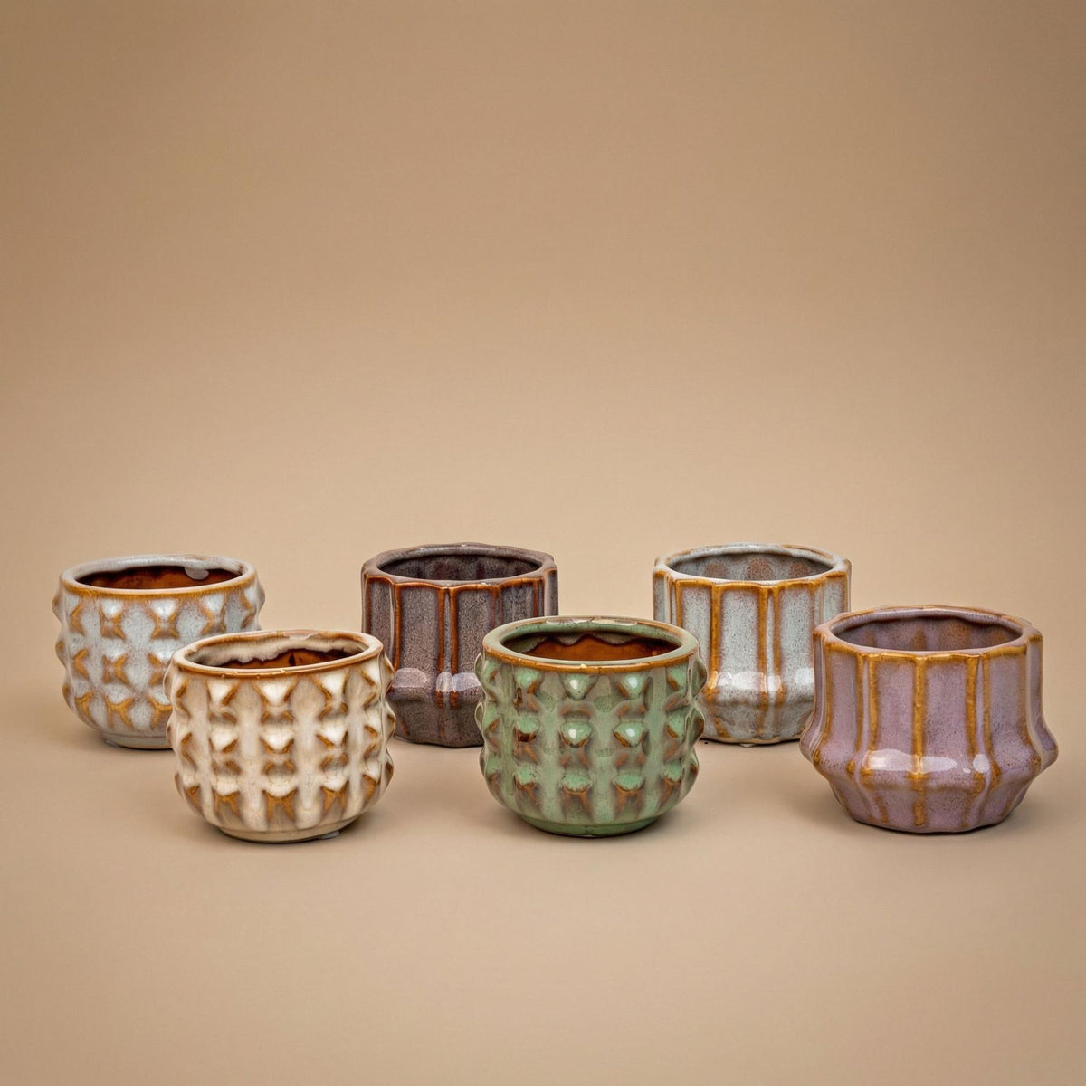 Pflanzen set von 6 mit topf set San Juan - Kaktus mix - Ø 6 cm 