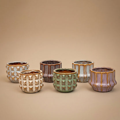 Pflanzen set von 6 mit topf set San Juan - Kaktus mix - Ø 6 cm 