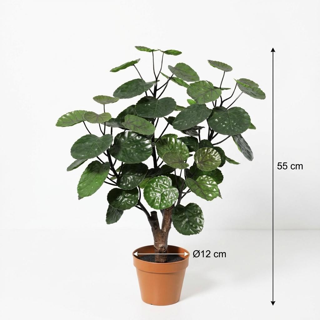 Polyscias Fabian Kunstpflanze 55cm – Dekorative Aralie Deko Pflanze – Pflegefreie Zimmerpflanze für Wohnzimmer Büro & Regal - Oasis of Life
