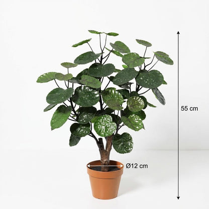Polyscias Fabian Kunstpflanze 55cm – Dekorative Aralie Deko Pflanze – Pflegefreie Zimmerpflanze für Wohnzimmer Büro & Regal - Oasis of Life