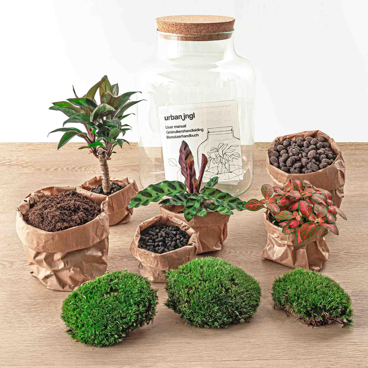 Flaschengarten DIY Bausatz – Terrarium Milky Palme – Ø21cm x 30cm – Selbstbewässerndes Mini-Ökosystem – Inklusive Anleitung – Perfekt für Zuhause & Büro 