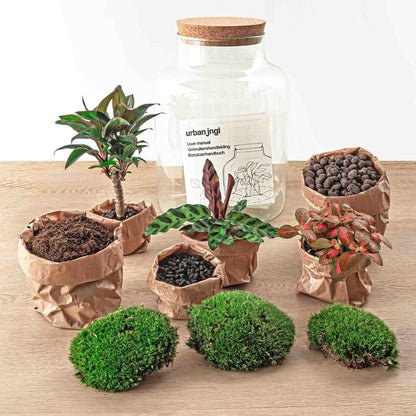 Flaschengarten DIY Bausatz – Terrarium Milky Palme – Ø21cm x 30cm – Selbstbewässerndes Mini-Ökosystem – Inklusive Anleitung – Perfekt für Zuhause & Büro 
