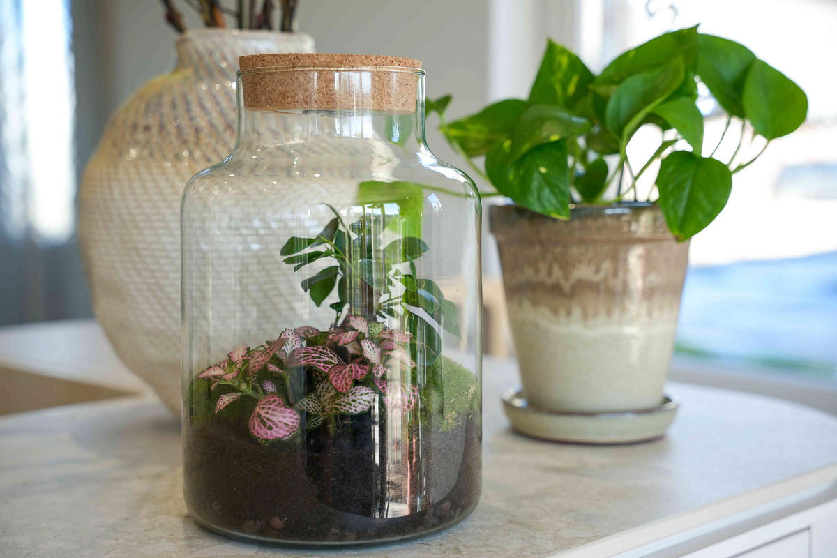 'LOVE MOM' Terrarium Little Milky + gravierter Kork mit Licht - Flaschengarten DIY Set - Ø 17 cm ↑ 25 cm - Muttertag 