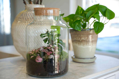 'LOVE MOM' Terrarium Little Milky + gravierter Kork mit Licht - Flaschengarten DIY Set - Ø 17 cm ↑ 25 cm - Muttertag 