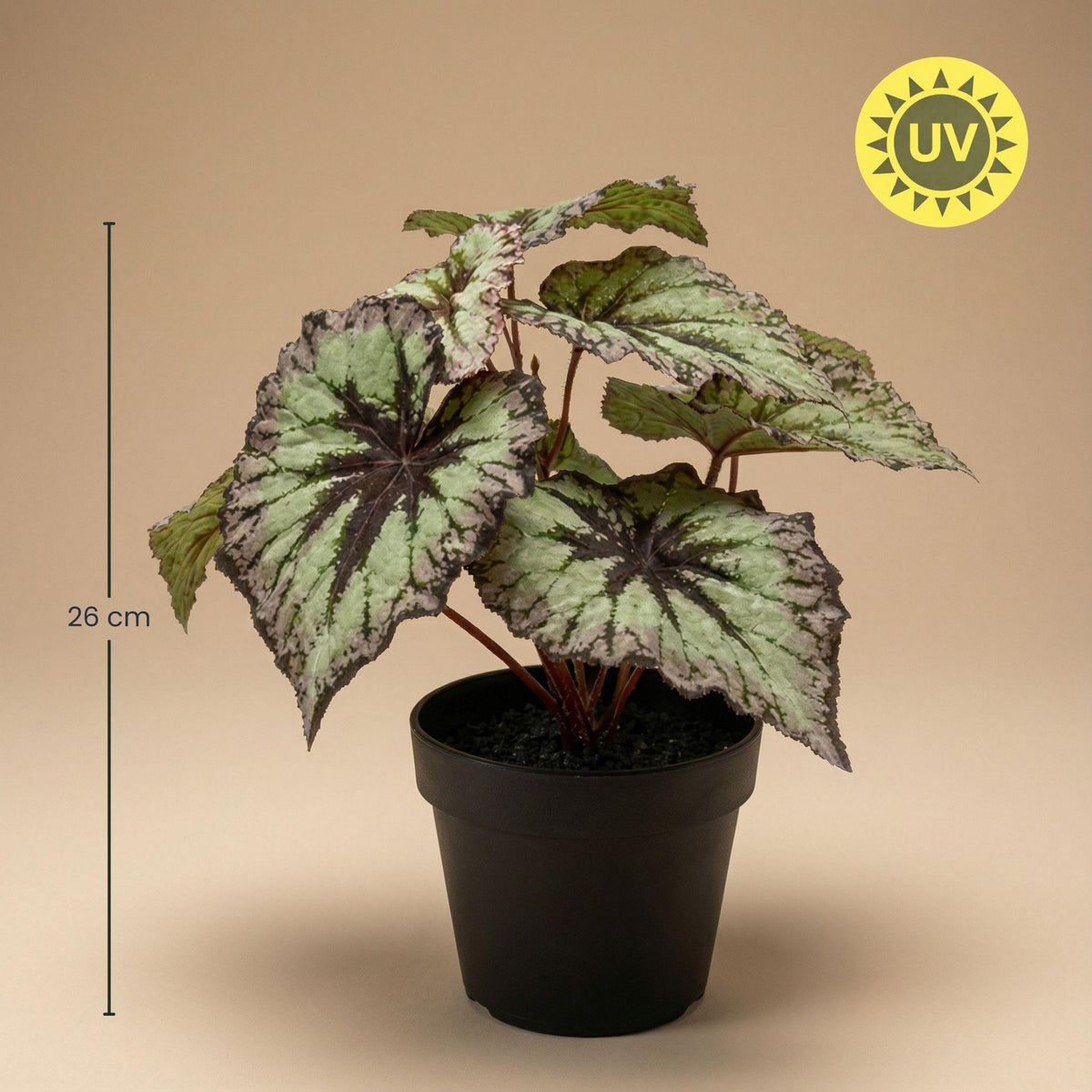 Begonie Kunstpflanze – ca.26cm – Grau-violette Blätter – UV-beständig – Künstliche Pflanze im Topf – Pflegefreie Deko für Innen & Außen Balkon Terrasse - Oasis of Life