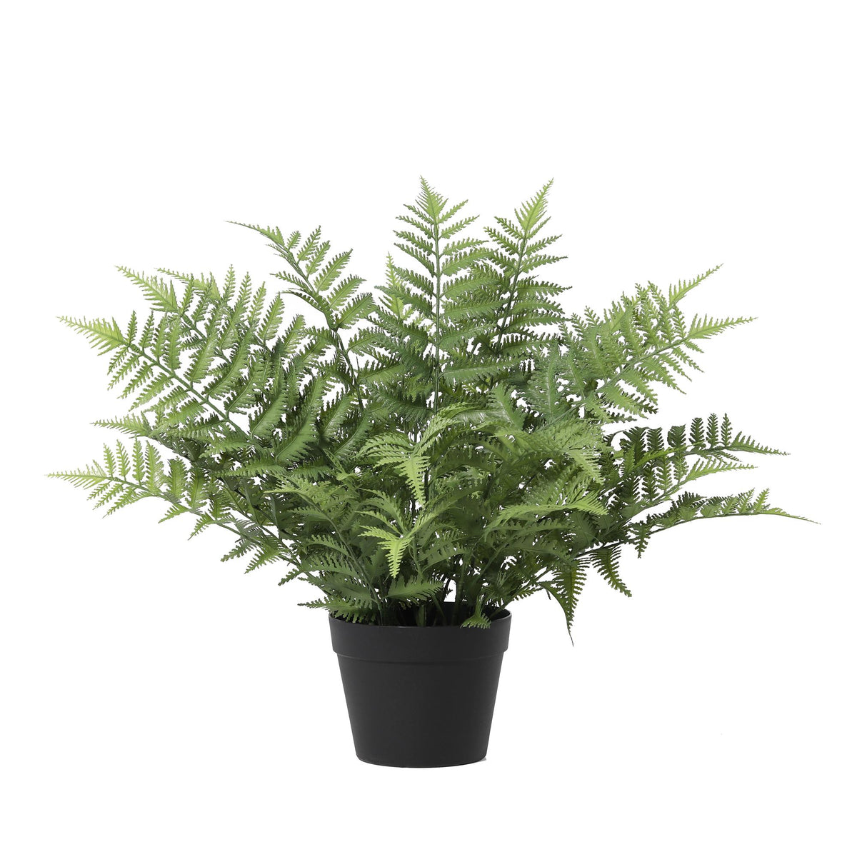 ARTIFICIAL Nephrolepis exaltata - 59cm 