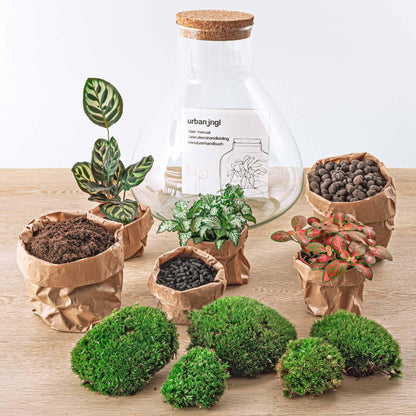 Flaschengarten Sam XL Rot – DIY Bausatz Terrarium – ↕35cm – Do-It-Yourself Pflanzen-Set – Autarkes Mini-Ökosystem – Inkl. Pflanzen, Erde & Zubehör – Perfekt für Wohnung & Büro 