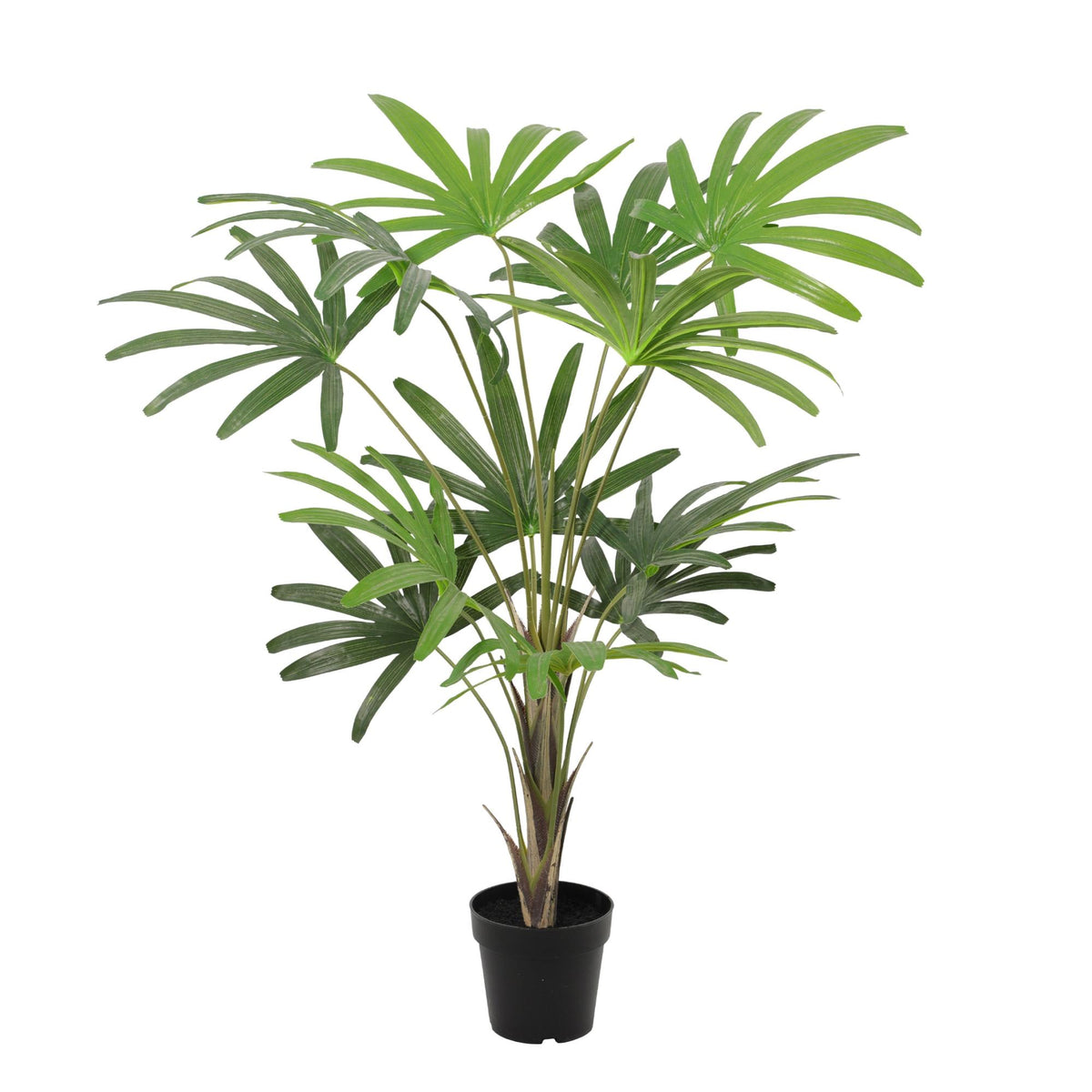 ARTIFICIAL Rhapis Excelsa - 120cm 