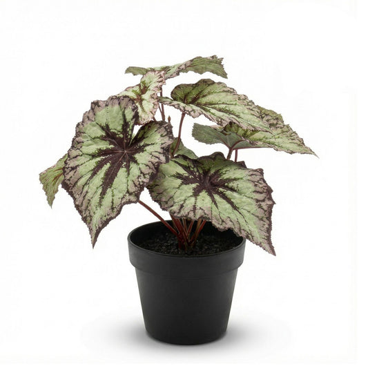 Begonie Kunstpflanze – ca.26cm – Grau-violette Blätter – UV-beständig – Künstliche Pflanze im Topf – Pflegefreie Deko für Innen & Außen Balkon Terrasse - Oasis of Life
