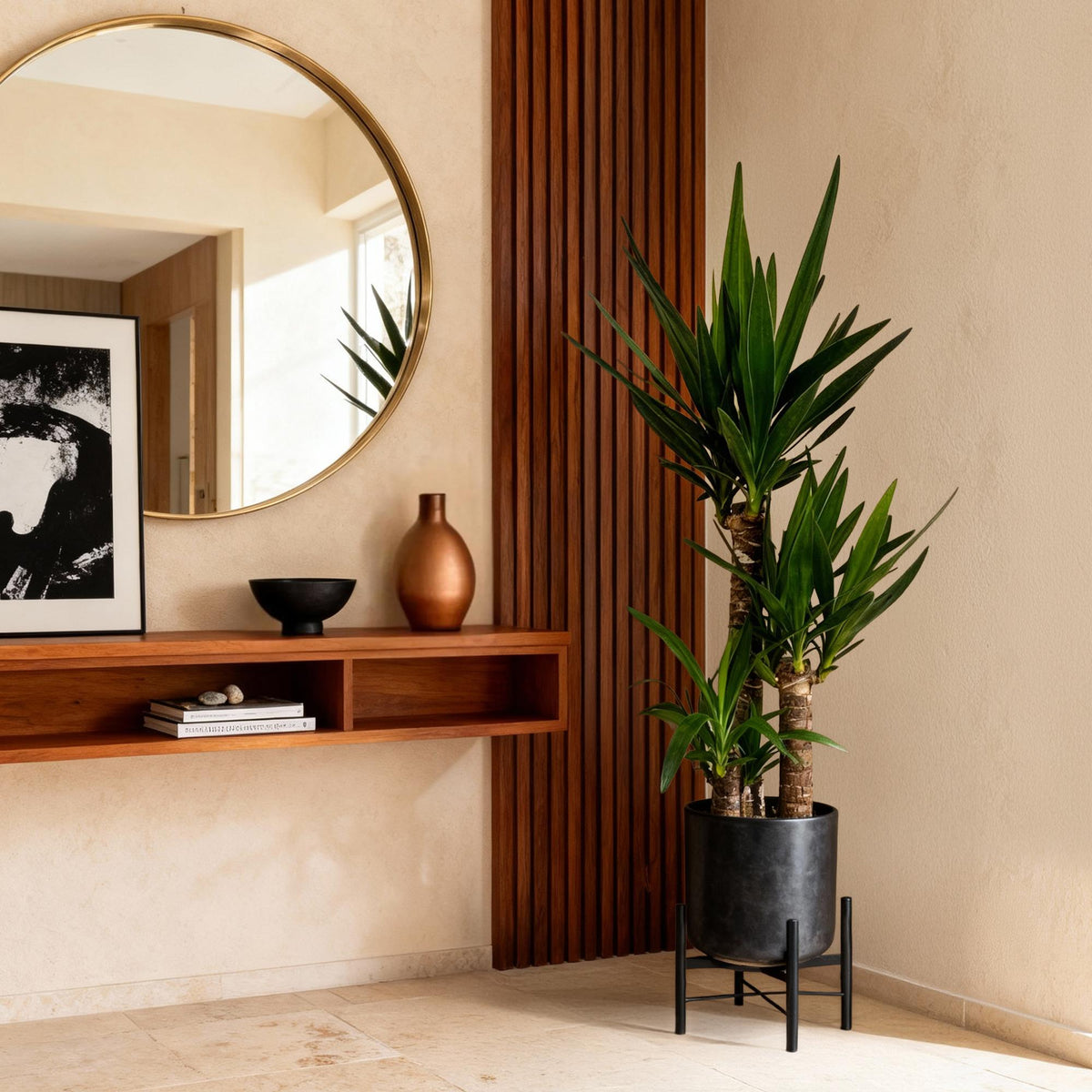 Palmlilie Yucca Elephantipes – 100cm – 21cm – Pflegeleichte Palmlilie mit langen, spitzen Blättern – Robuste, luftreinigende Zimmerpflanze für moderne & klassische Wohnräume 