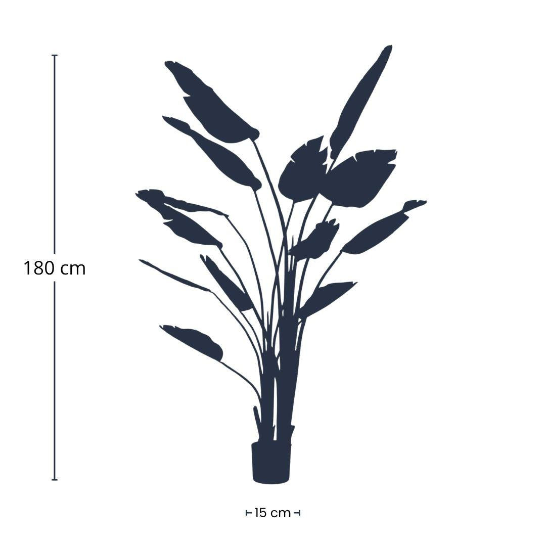 Strelitzia nicolai – 180cm – Kunstpflanze im schwarzen Topf – XXL Deko-Pflanze für Innenbereich – tropische Banane 