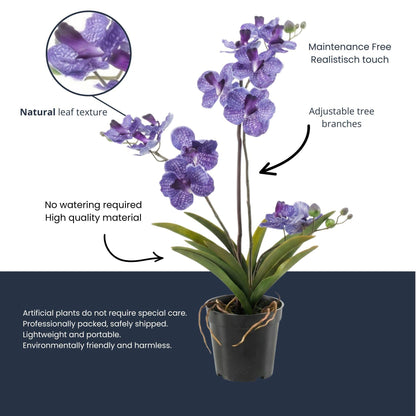 Orchidee Vanda Kunstpflanze – ca.60cm – Violett – Künstliche Orchidee im Topf – Pflegefreie Dekopflanze für Wohnzimmer Büro & Empfang - Oasis of Life