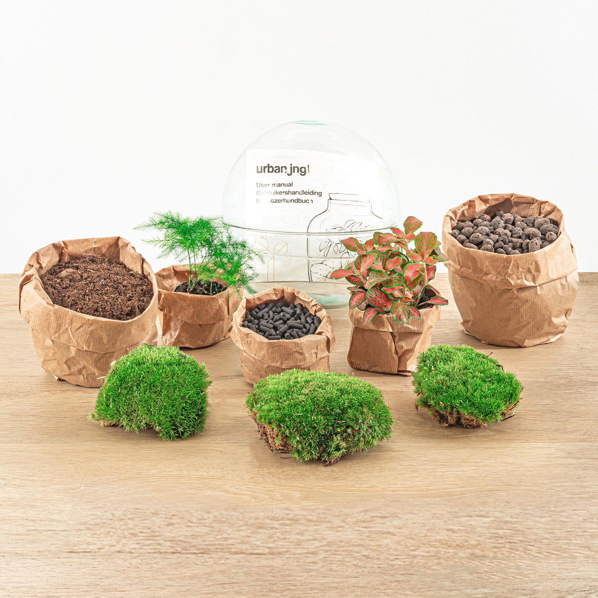 DIY Flaschengarten Set – Dome Glas Rot – Ø20 cm x H20 cm – Selbstversorgendes Pflanzterrarium mit Fittonia, Spargel & Moos – Mini-Ökosystem zum Selberbauen – Deko & Geschenkidee – Pflegeleicht 
