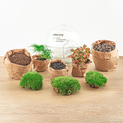 DIY Flaschengarten Set – Dome Glas Rot – Ø20 cm x H20 cm – Selbstversorgendes Pflanzterrarium mit Fittonia, Spargel & Moos – Mini-Ökosystem zum Selberbauen – Deko & Geschenkidee – Pflegeleicht 