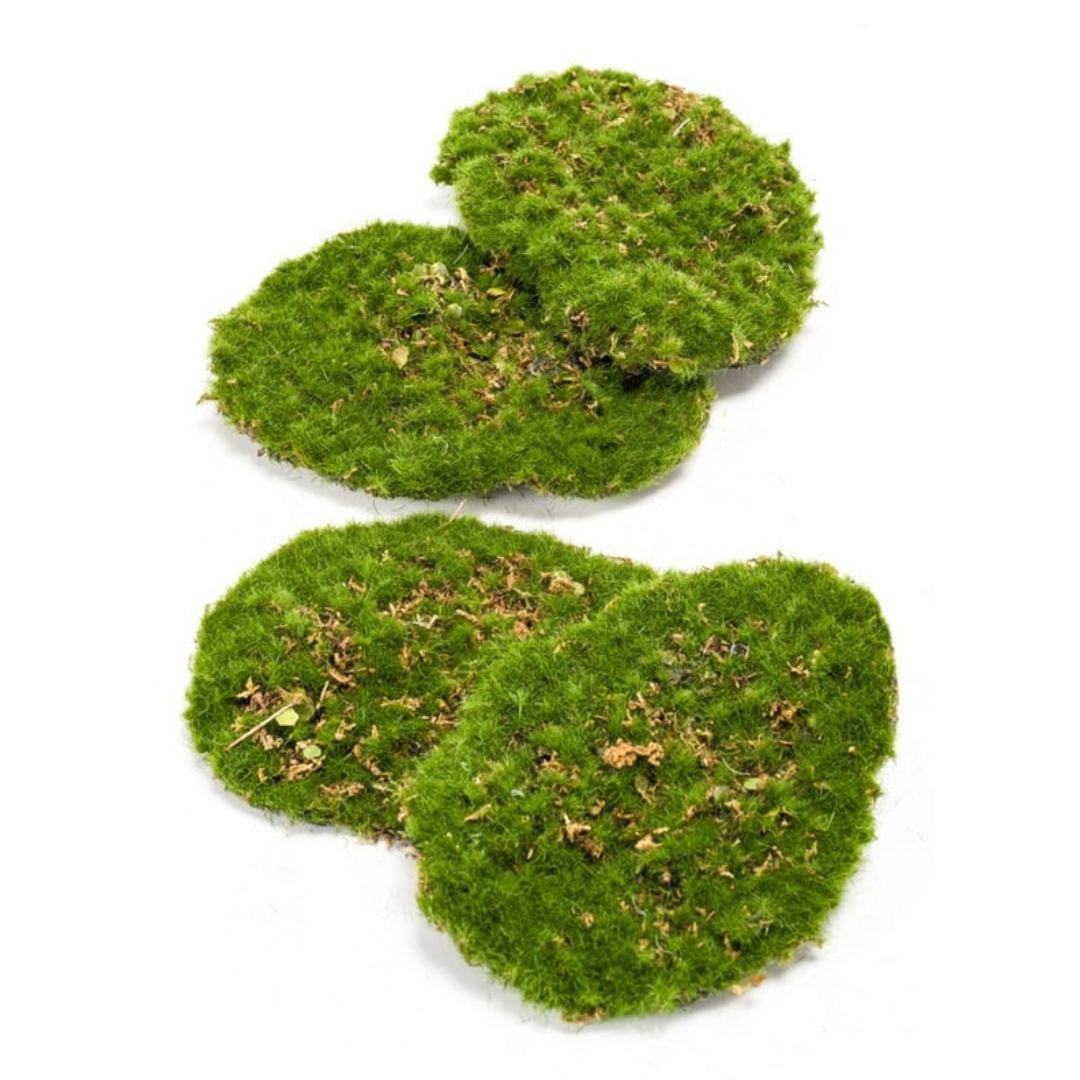 Mosplaat – Groen mos – Set van 4 – Kunstmos 
