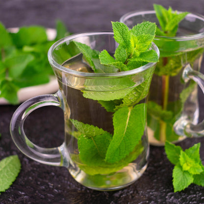 Staudenset Teekräuter – 6 aromatische Kräuterstauden für ca. 1 m² – Für frischen Kräutertee aus dem eigenen Garten – Pflegeleichtes Kräuterpaket – Ø11 cm