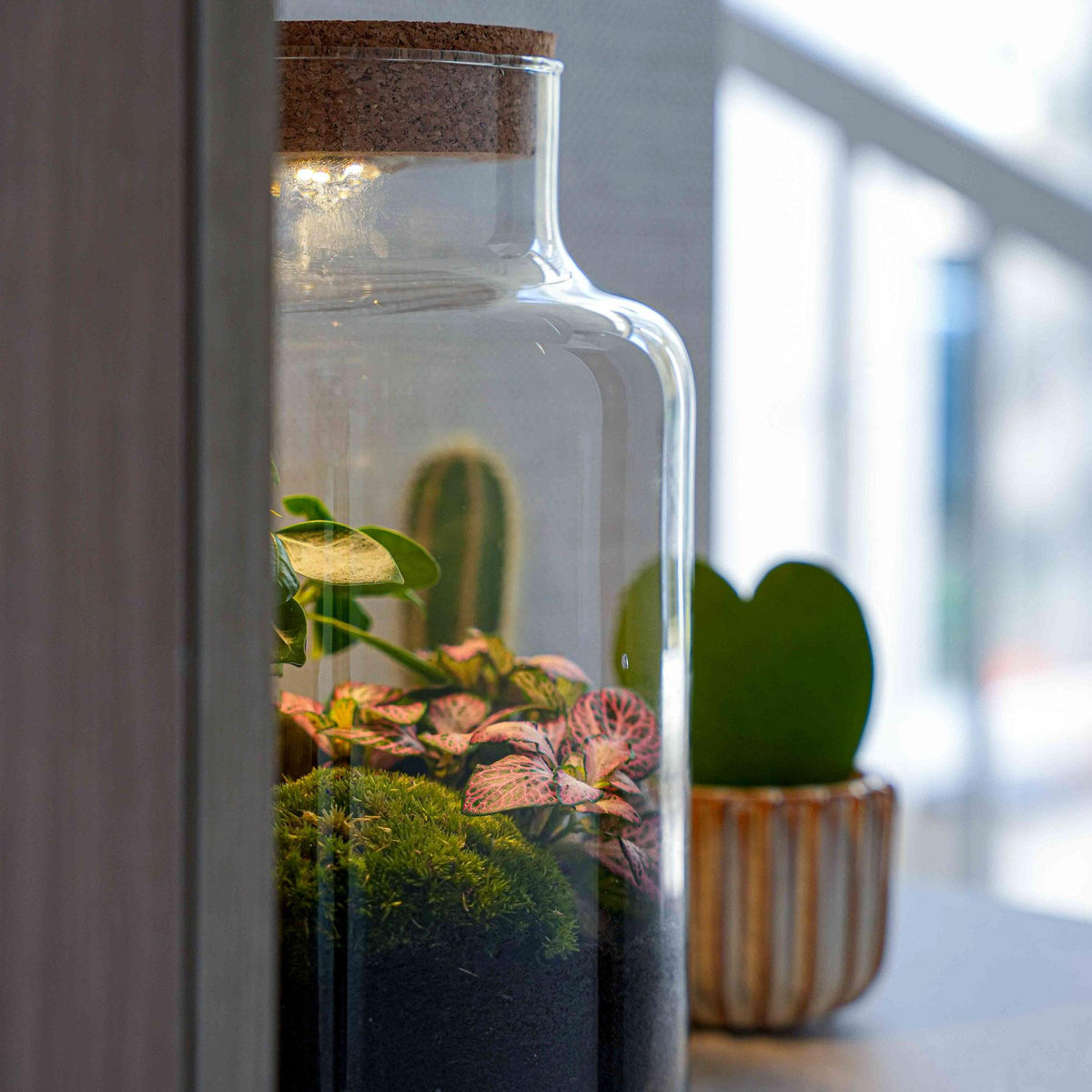 'LOVE MOM' Terrarium Little Milky + gravierter Kork mit Licht - Flaschengarten DIY Set - Ø 17 cm ↑ 25 cm - Muttertag 