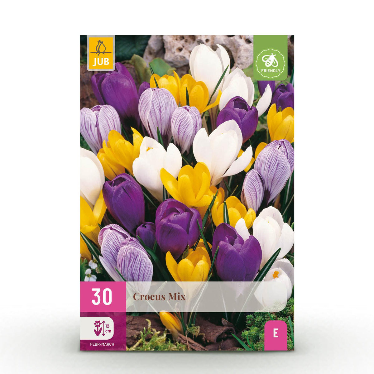 GreenboutiQ - Blumenzwiebeln - Crocus Large Flowering mix - Verschiedene Farben - 30 Stück - Zwiebelgröße 7/8 - XXL Pack 