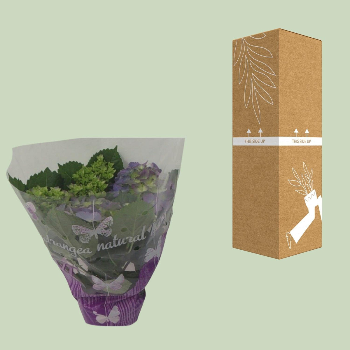 Hydrangea Blauw - Ø14cm - ↕35cm 