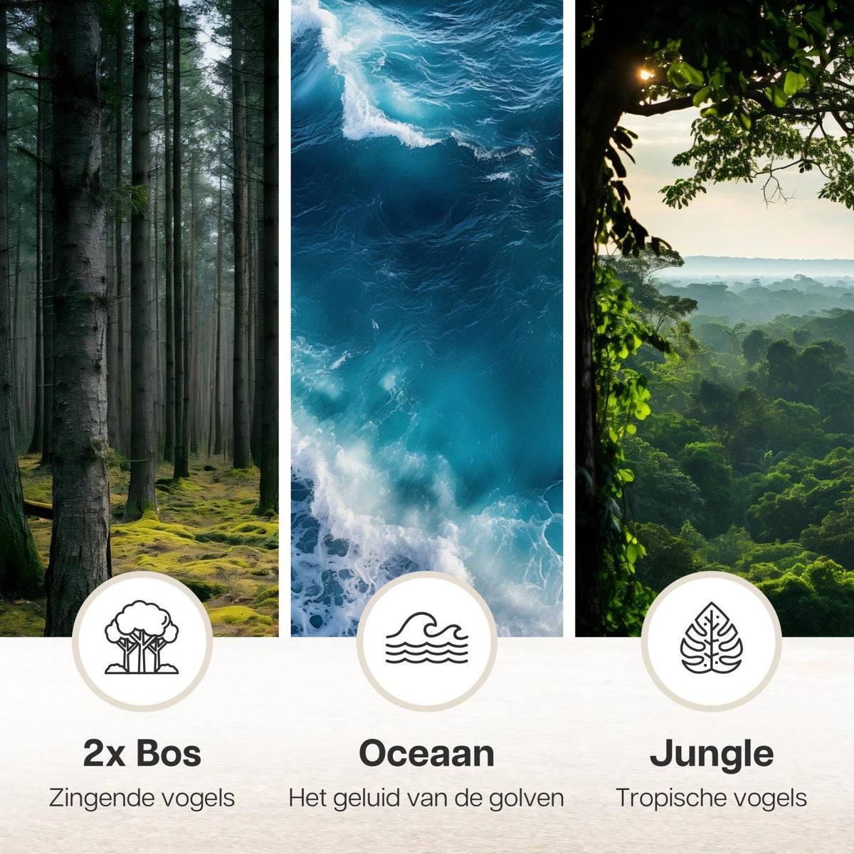 Melodiez Musikbox Weiß – Naturklänge mit Bewegungssensor – Kompakte Soundbox für beruhigende Vogelstimmen, Meeresrauschen & Dschungelklänge – Inklusive Batterien – Elegantes Design 