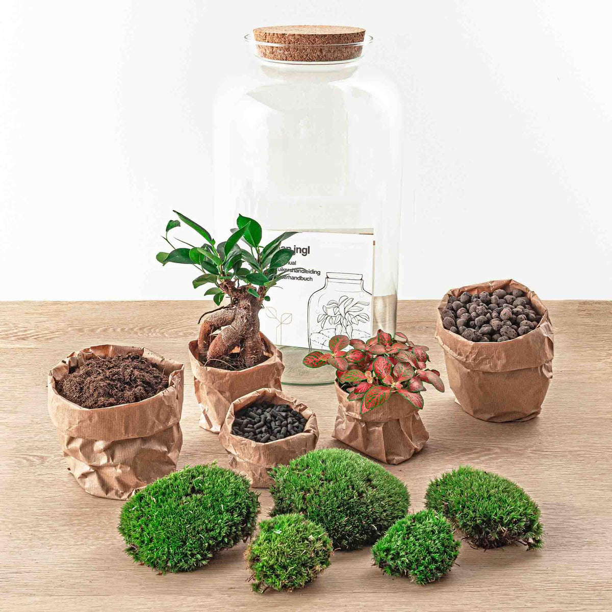 Flaschengarten Sven Bonsai – DIY Bausatz Terrarium – ↕43cm – Do-It-Yourself Pflanzen-Set im Glas mit Korkdeckel – Autarkes Mini-Ökosystem – Inkl. Ficus Ginseng Bonsai, Fittonia & Moos – Für Wohnung & Büro 