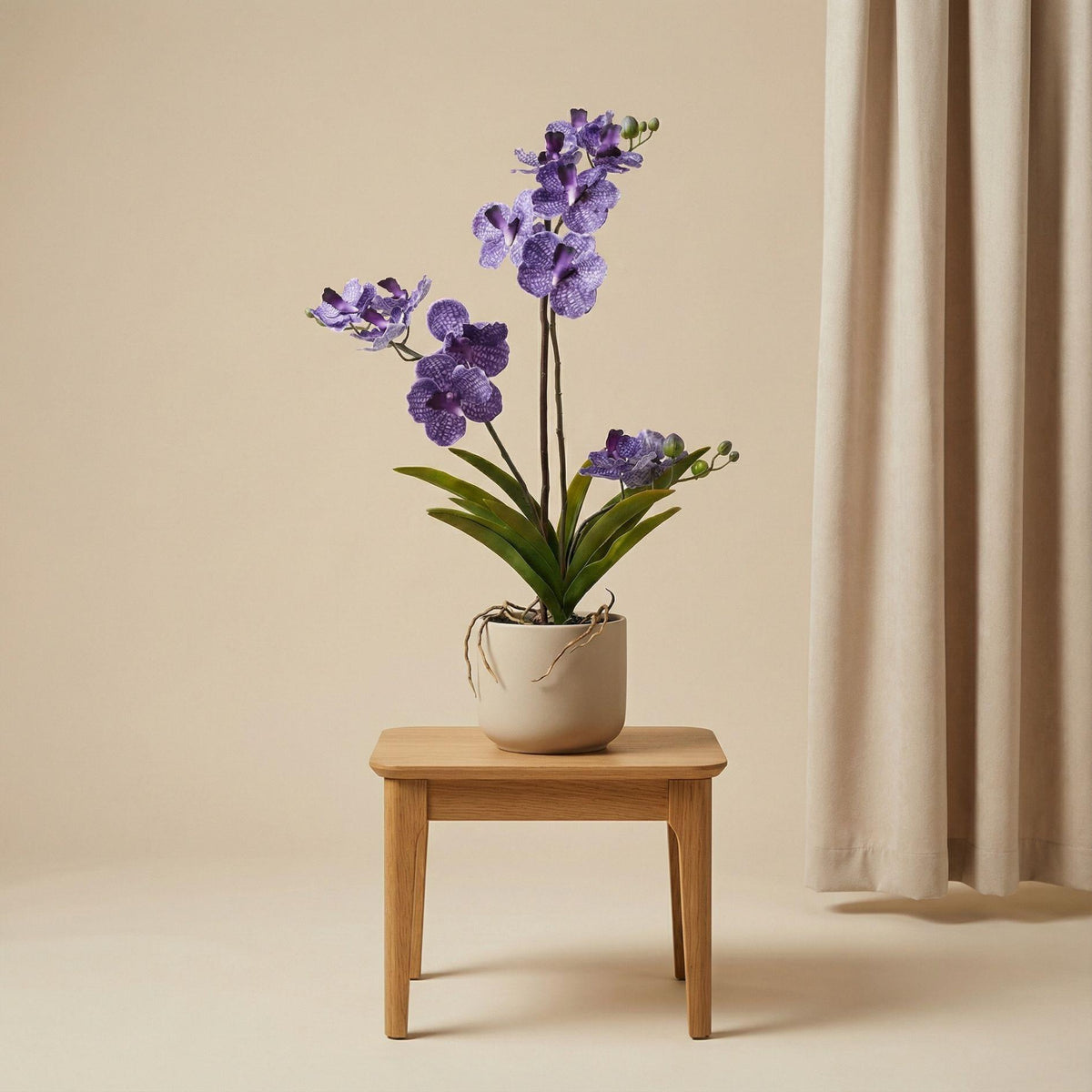 Orchidee Vanda Kunstpflanze – ca.60cm – Violett – Künstliche Orchidee im Topf – Pflegefreie Dekopflanze für Wohnzimmer Büro & Empfang - Oasis of Life