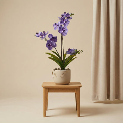 Orchidee Vanda Kunstpflanze – ca.60cm – Violett – Künstliche Orchidee im Topf – Pflegefreie Dekopflanze für Wohnzimmer Büro & Empfang - Oasis of Life
