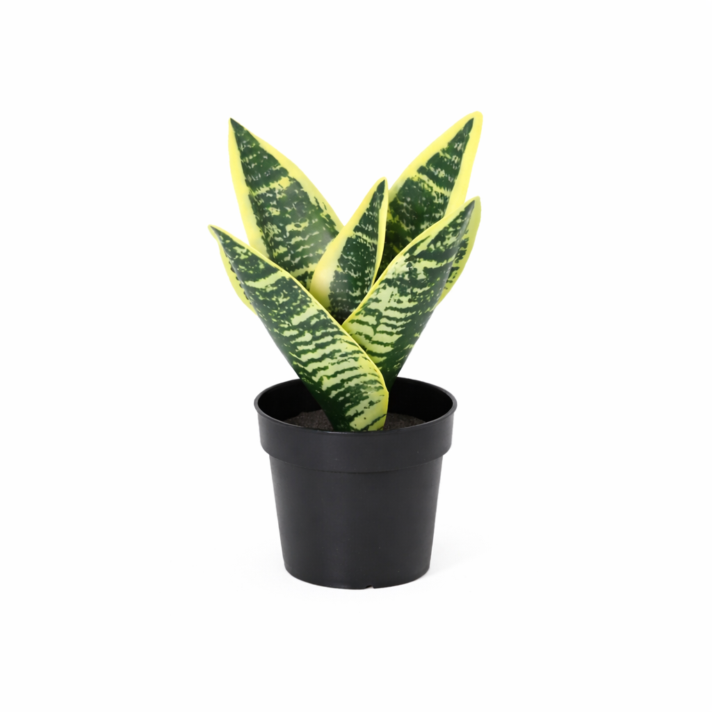 ARTIFICIAL Sansevieria laurentii - 21cm 