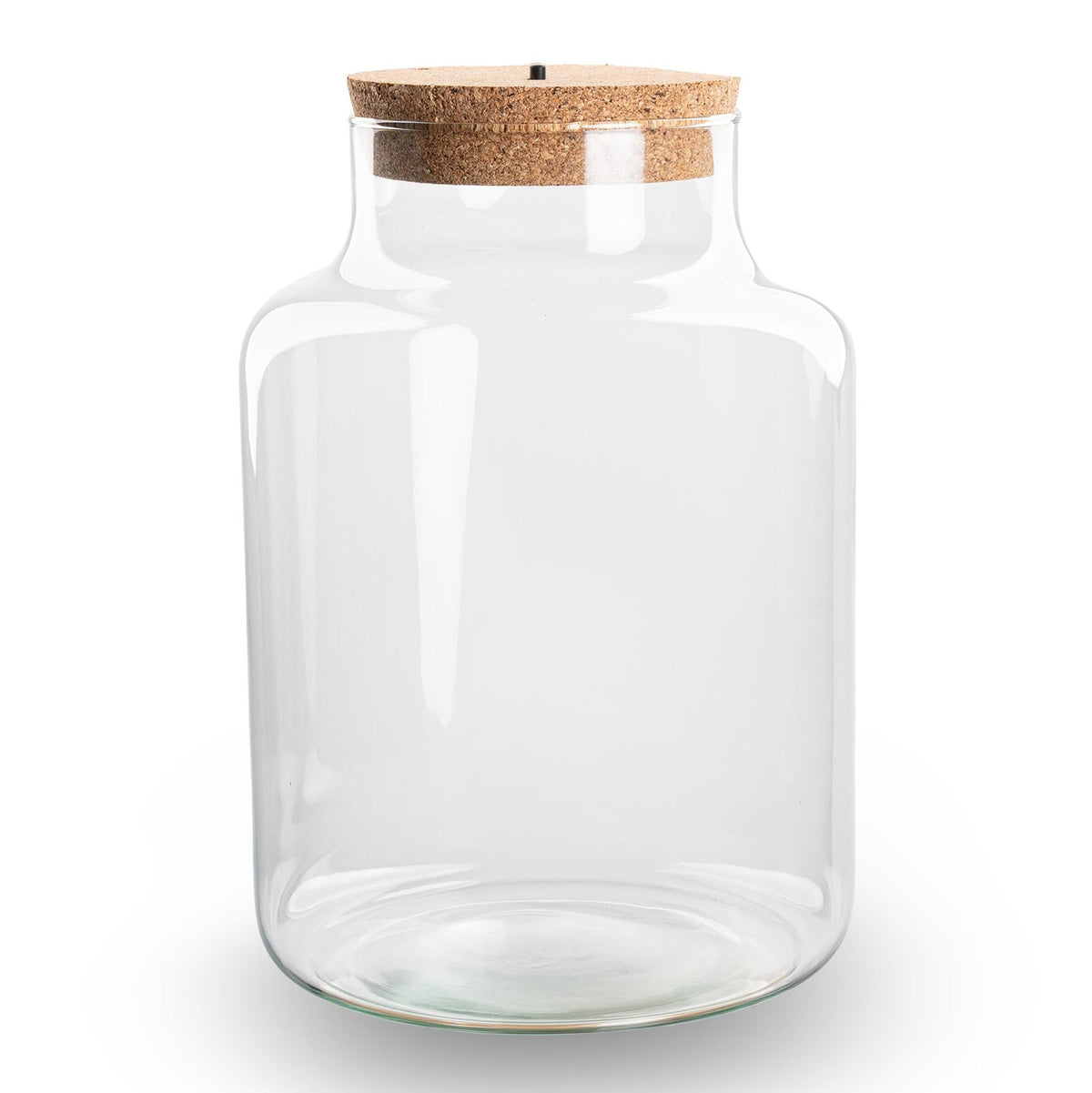 Terrarium fles met kurk - Little Milky met led kurk - Gesloten groot terrarium ↑ 24.5 cm 