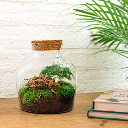 Flaschengarten Little Joe – DIY Bausatz Terrarium – ↕21,5cm – Do-It-Yourself Pflanzen-Set im Glas mit Korkdeckel – Autarkes Mini-Ökosystem – Inkl. Fittonia, Spargel & Moos – Für Wohnung & Büro 