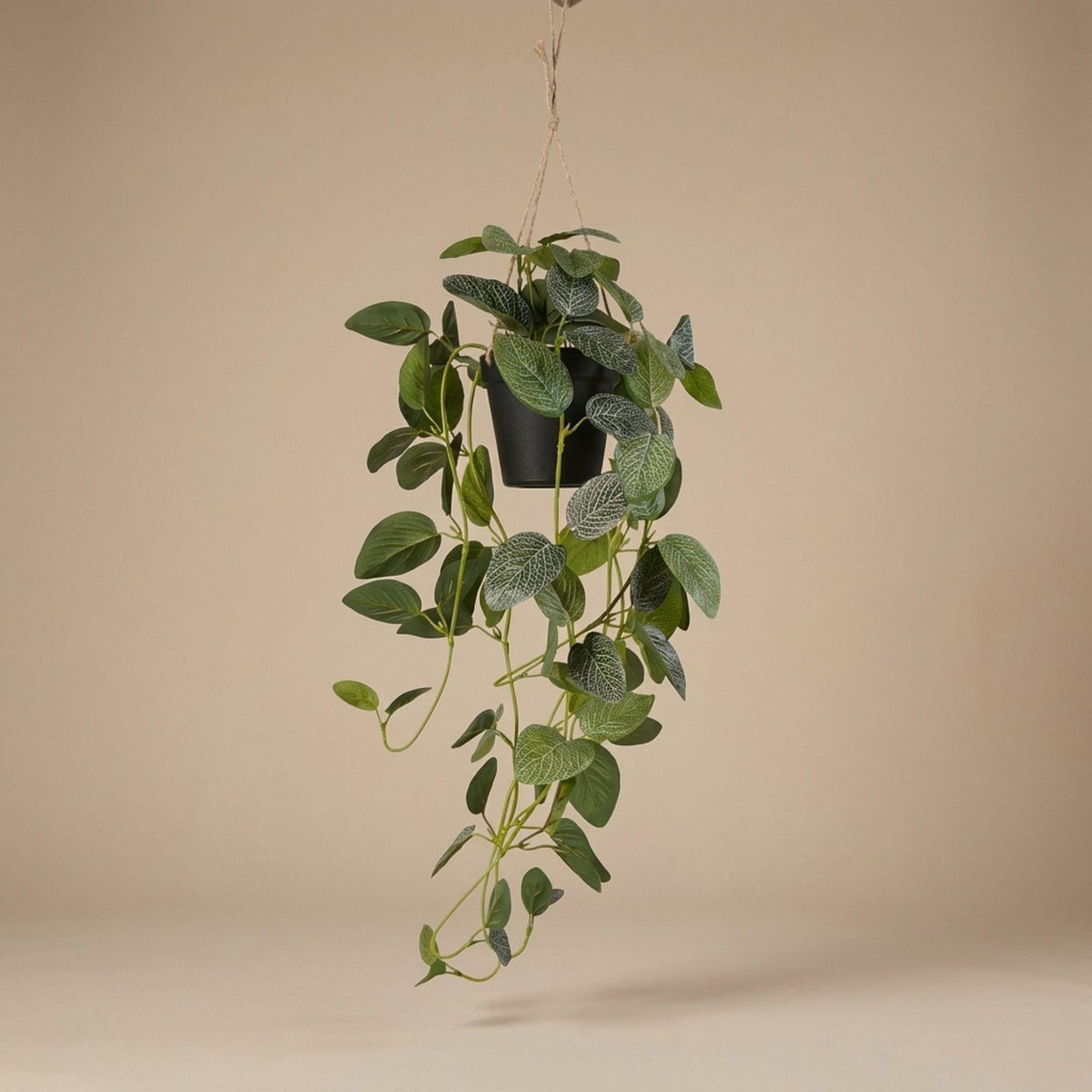 Fittonia - hangplant in pot - 70 cm - Kunstplant 